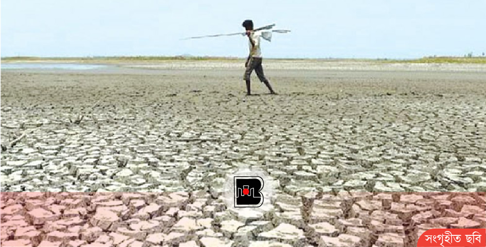 খরা, পানিসংকট ও অবহেলা: হুমকির মুখে বাংলাদেশের শস্যভান্ডার